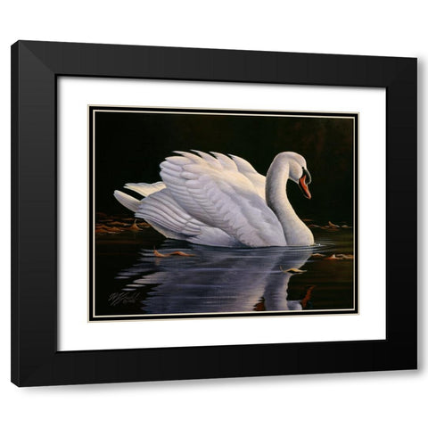 Reflection - Mute Swan Black Modern Wood Framed Art Print with Double Matting by Goebel, Wilhelm