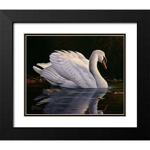 Reflection - Mute Swan Black Modern Wood Framed Art Print with Double Matting by Goebel, Wilhelm