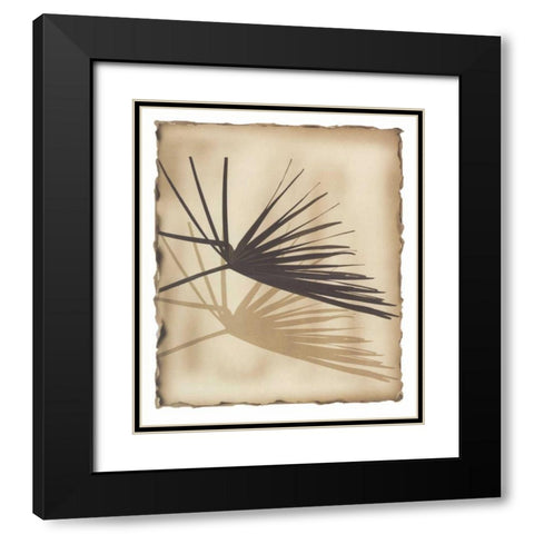 Tropic Palm 1 Black Modern Wood Framed Art Print with Double Matting by Avant Art