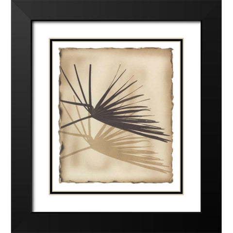 Tropic Palm 1 Black Modern Wood Framed Art Print with Double Matting by Avant Art
