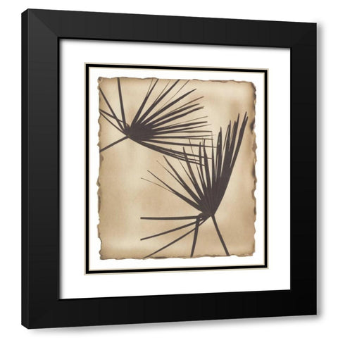 Tropic Palm 2 Black Modern Wood Framed Art Print with Double Matting by Avant Art