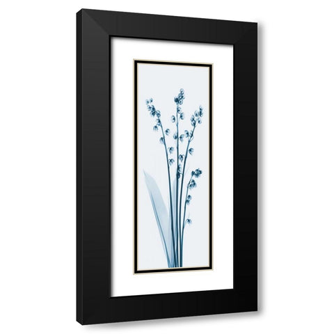 Lily of the Valley in Blue 2 Black Modern Wood Framed Art Print with Double Matting by Koetsier, Albert