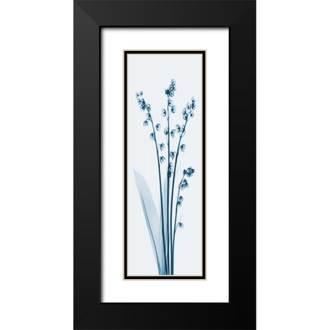 Lily of the Valley in Blue 2 Black Modern Wood Framed Art Print with Double Matting by Koetsier, Albert