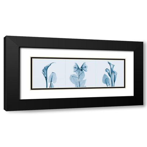 Lilies Triple in Blue Black Modern Wood Framed Art Print with Double Matting by Koetsier, Albert