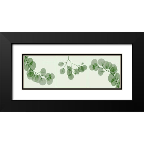 Leaf Triple in Green Black Modern Wood Framed Art Print with Double Matting by Koetsier, Albert