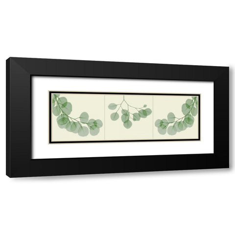 Leaf Triple in Green 2 Black Modern Wood Framed Art Print with Double Matting by Koetsier, Albert