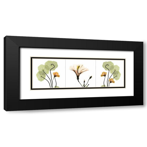 Triple in Color Black Modern Wood Framed Art Print with Double Matting by Koetsier, Albert