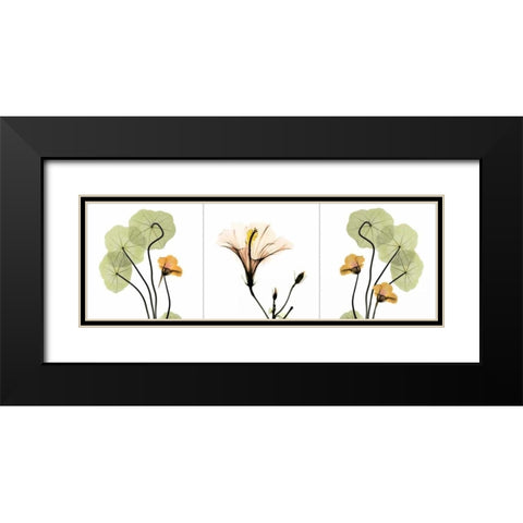 Triple in Color Black Modern Wood Framed Art Print with Double Matting by Koetsier, Albert