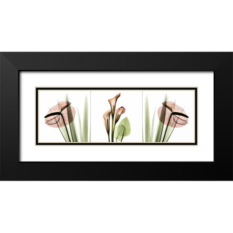 Triple in Pink Black Modern Wood Framed Art Print with Double Matting by Koetsier, Albert