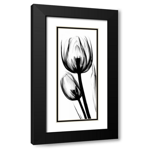 Tulip in BandW Black Modern Wood Framed Art Print with Double Matting by Koetsier, Albert