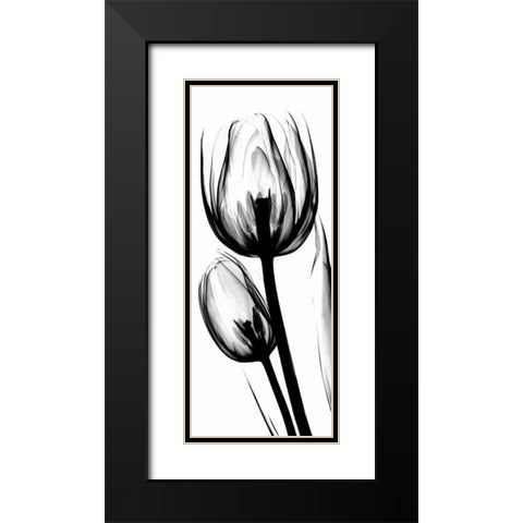 Tulip in BandW Black Modern Wood Framed Art Print with Double Matting by Koetsier, Albert