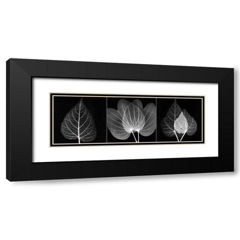 Leaf Triple on Black 2 Black Modern Wood Framed Art Print with Double Matting by Koetsier, Albert