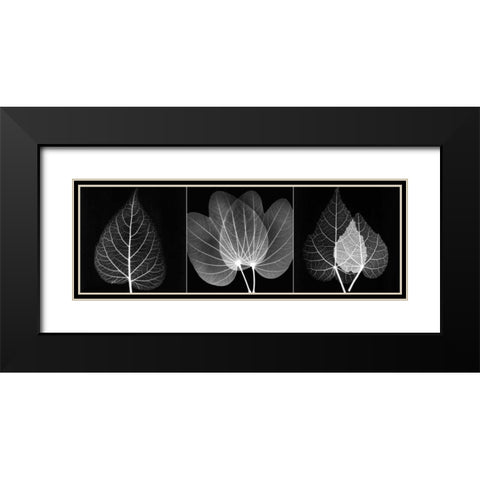 Leaf Triple on Black 2 Black Modern Wood Framed Art Print with Double Matting by Koetsier, Albert