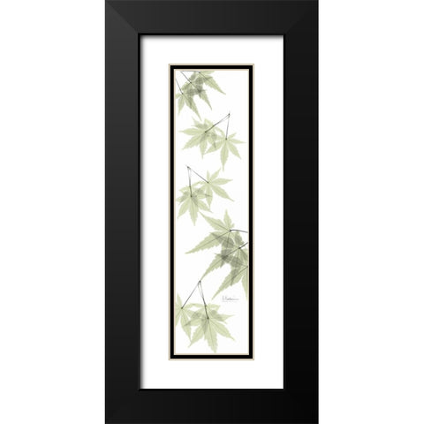 Leaves in Green Black Modern Wood Framed Art Print with Double Matting by Koetsier, Albert