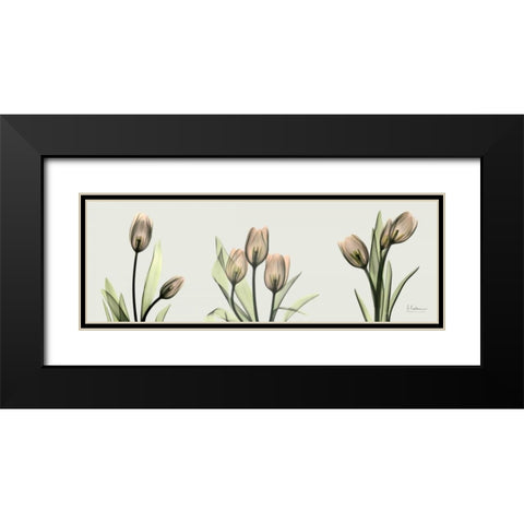 Spring  Tulip Triple Black Modern Wood Framed Art Print with Double Matting by Koetsier, Albert