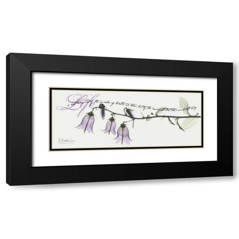 Campanula Life Black Modern Wood Framed Art Print with Double Matting by Koetsier, Albert