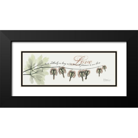 Bleeding Heart Love Black Modern Wood Framed Art Print with Double Matting by Koetsier, Albert