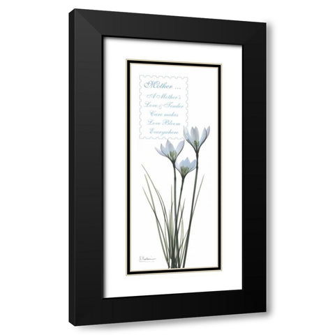 White Rain Lily - Mother Black Modern Wood Framed Art Print with Double Matting by Koetsier, Albert