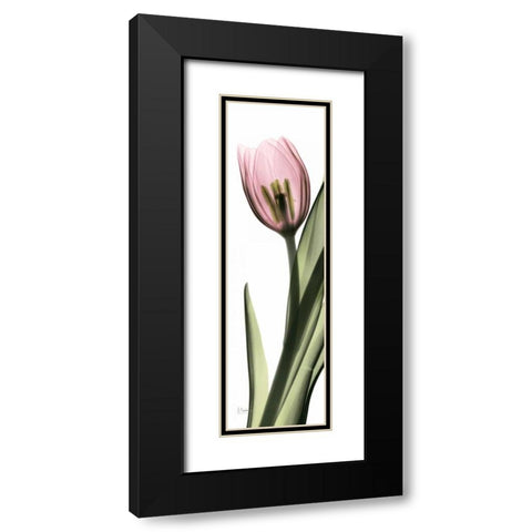 Tulip in Color 2 Black Modern Wood Framed Art Print with Double Matting by Koetsier, Albert