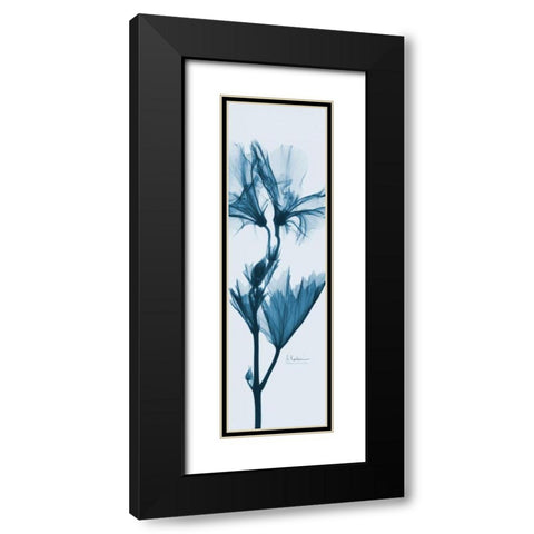 Geranium in Blue Black Modern Wood Framed Art Print with Double Matting by Koetsier, Albert