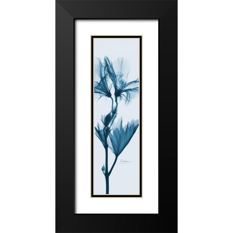 Geranium in Blue Black Modern Wood Framed Art Print with Double Matting by Koetsier, Albert