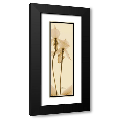 Orchid Brown on Beige 2 Black Modern Wood Framed Art Print with Double Matting by Koetsier, Albert