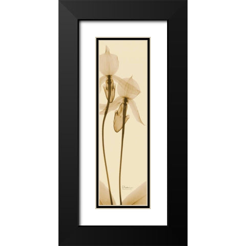 Orchid Brown on Beige 2 Black Modern Wood Framed Art Print with Double Matting by Koetsier, Albert