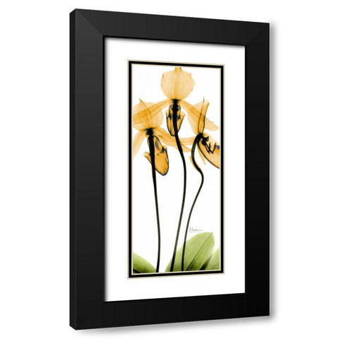 Orchid in Color Black Modern Wood Framed Art Print with Double Matting by Koetsier, Albert