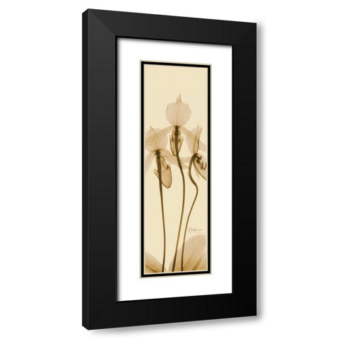 Orchid Brown on Beige Black Modern Wood Framed Art Print with Double Matting by Koetsier, Albert