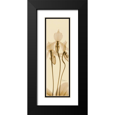 Orchid Brown on Beige Black Modern Wood Framed Art Print with Double Matting by Koetsier, Albert