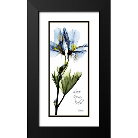 Geranium - Love Black Modern Wood Framed Art Print with Double Matting by Koetsier, Albert