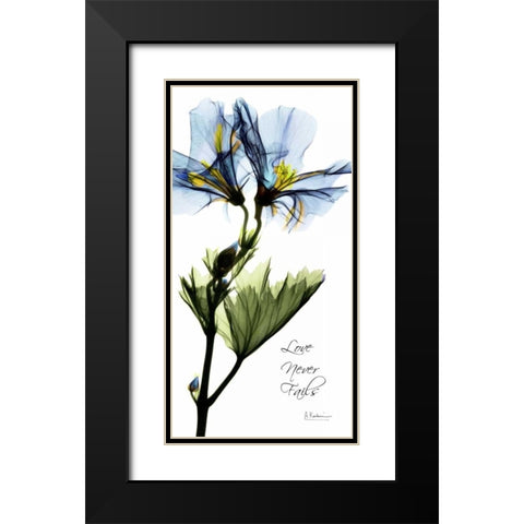 Geranium Black Modern Wood Framed Art Print with Double Matting by Koetsier, Albert