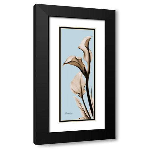 Calla Lily Black Modern Wood Framed Art Print with Double Matting by Koetsier, Albert