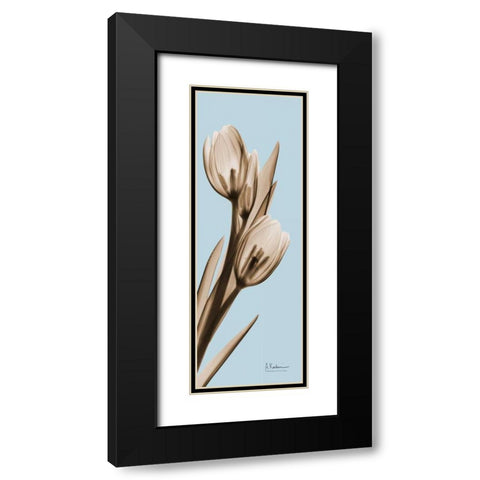 Tulip Black Modern Wood Framed Art Print with Double Matting by Koetsier, Albert