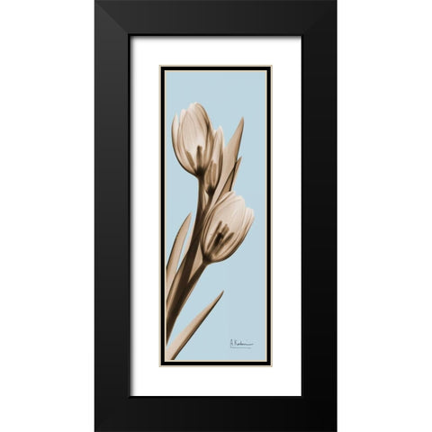 Tulip Black Modern Wood Framed Art Print with Double Matting by Koetsier, Albert