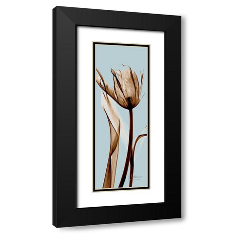 Tulip Brown on Blue Black Modern Wood Framed Art Print with Double Matting by Koetsier, Albert