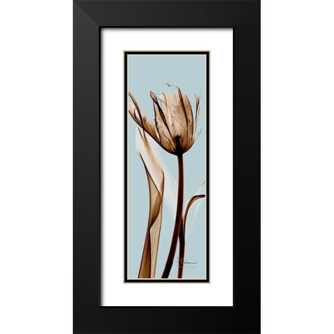 Tulip Brown on Blue Black Modern Wood Framed Art Print with Double Matting by Koetsier, Albert