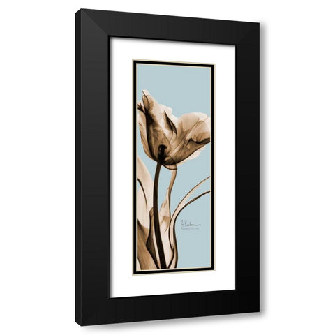 Tulip Brown on Blue 2 Black Modern Wood Framed Art Print with Double Matting by Koetsier, Albert