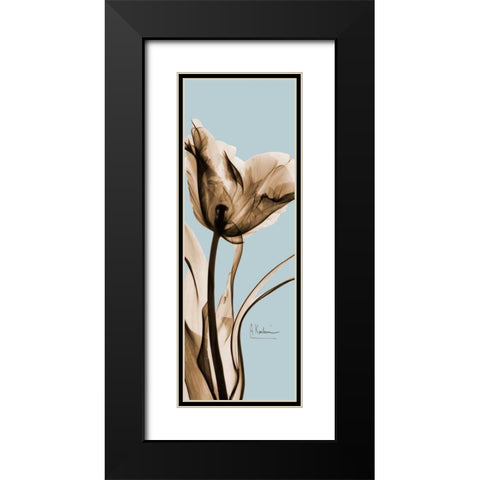 Tulip Brown on Blue 2 Black Modern Wood Framed Art Print with Double Matting by Koetsier, Albert