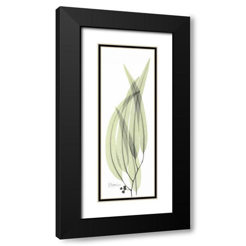 Eucalyptus in Green 2 Black Modern Wood Framed Art Print with Double Matting by Koetsier, Albert