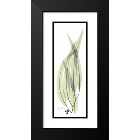 Eucalyptus in Green 2 Black Modern Wood Framed Art Print with Double Matting by Koetsier, Albert