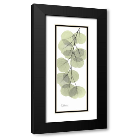 Eucalyptus in Green 3 Black Modern Wood Framed Art Print with Double Matting by Koetsier, Albert