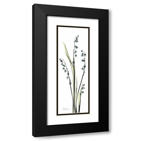 Lily of the Valley in Blue Black Modern Wood Framed Art Print with Double Matting by Koetsier, Albert