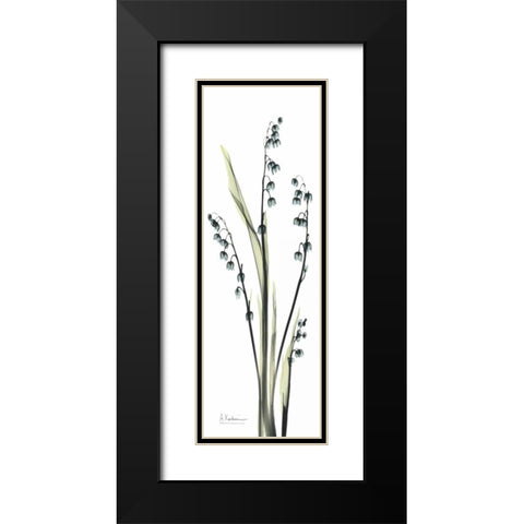 Lily of the Valley in Blue Black Modern Wood Framed Art Print with Double Matting by Koetsier, Albert