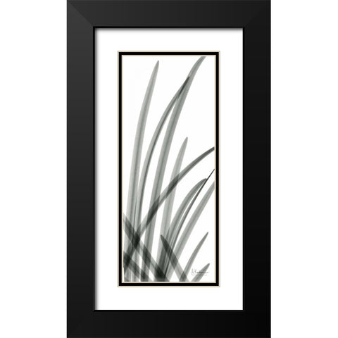 Snow Drop Leaves Black Modern Wood Framed Art Print with Double Matting by Koetsier, Albert