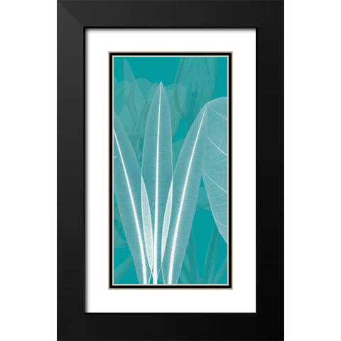 Teal Black Modern Wood Framed Art Print with Double Matting by Koetsier, Albert