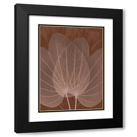 Orchid Tree Fan Black Modern Wood Framed Art Print with Double Matting by Koetsier, Albert