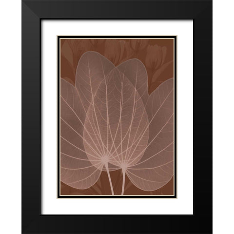 Orchid Tree Fan Black Modern Wood Framed Art Print with Double Matting by Koetsier, Albert