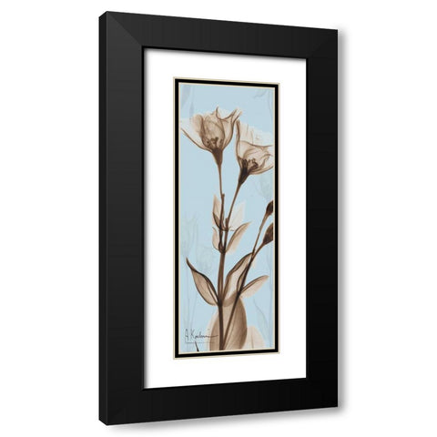 Flower 1 Black Modern Wood Framed Art Print with Double Matting by Koetsier, Albert