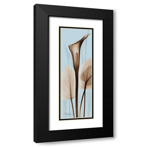 Flower 2 Black Modern Wood Framed Art Print with Double Matting by Koetsier, Albert